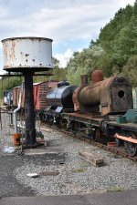 DSC_4373junk.jpg