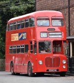 DSC_4173midland red.jpg