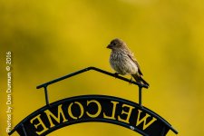 Morning on the Porch-3480-Edit.jpg