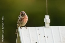 Morning on the Porch-3482-Edit.jpg