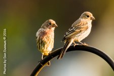 Morning on the Porch-3499-Edit.jpg