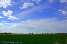 Layton Farms Field with Interesting Clouds  8-31-2016.jpg