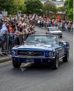 Mustang.jpg