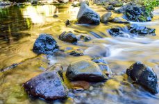 DSC_0116-XL.jpg