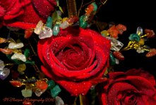 Red Rose on Stone Tree #3  9-1-2016.jpg