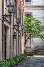 Asian Festival, Knoxville,TN---3.jpg