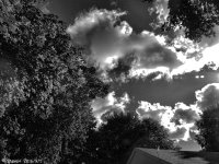 DSCN0999.jpg