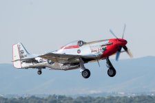 P51-101.jpg