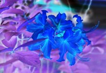 Abstract1.jpg