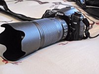 IMG_4521.JPG