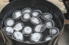 20110425_8crp.jpg