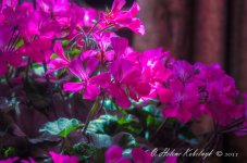_DSC0073_5_6_7_8_tonemapped.jpg
