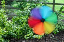 119-pinwheel.jpg