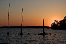 Honor Guard at Sunset.jpg