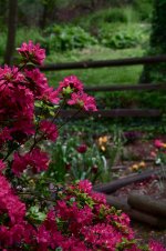 121-Spring.jpg