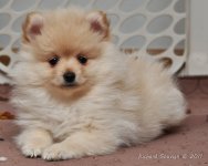 DSC_5377.jpg