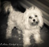 _SSC0074-Edit-Edit-Edit.jpg