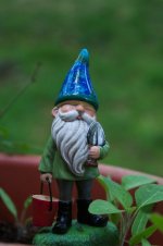 133-Gnome.jpg