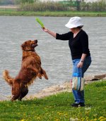 Doggie.jpg