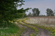 DSC_5675 72dpi .jpg