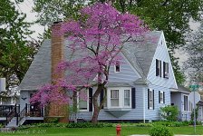DSC_5707.jpg