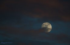 135-moon.jpg
