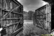 May 18, 2011 Barn Door  resized.JPG