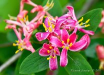DSC_5900.jpg