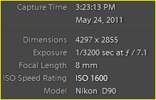 Capture.PNG