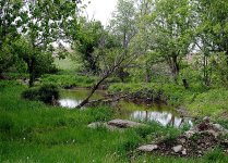 The River.jpg