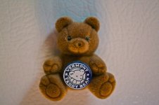 Little Brown Bear.jpg