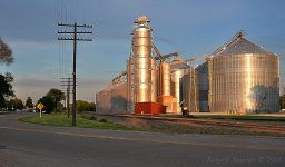 DSC_6646.jpg