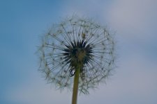 Shot From Below.jpg