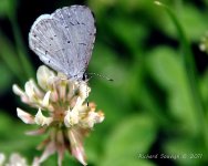 DSC_8740.jpg