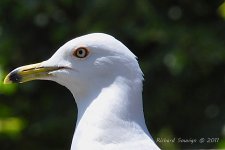 DSC_8970.jpg