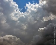 DSC_9679.jpg