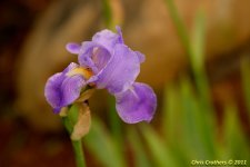 DSC_6024_5_6_tonemapped-1.JPG