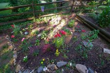 156-Garden.jpg
