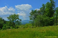 DSC_6122-2.JPG