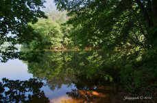 159-rocky gorge.jpg