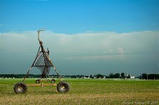 DSC_9817.jpg