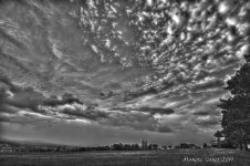 sky HDR BW.jpg