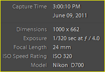 Capture.PNG