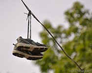 DSC_0100.jpg