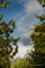 blue sky at last copy 3.jpg
