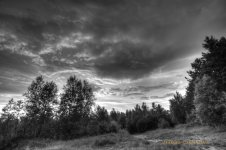 B&W sky.jpg