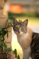 DSC_4176.jpg