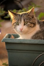 DSC_4214.jpg