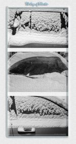 triptych 2.jpg