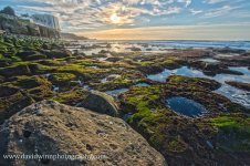 Untitled_HDR3-sm.jpg